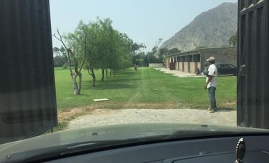 VENTA DE TERRENO AGRICOLA -MANCHAY BAJO-PACHACAMAC