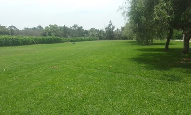 VENTA DE TERRENO AGRICOLA -MANCHAY BAJO-PACHACAMAC