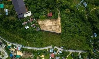 RESIDENTIAL LOT FOR SALE WITH OVERLOOKING VIEW IN LILOAN CEBU CITY