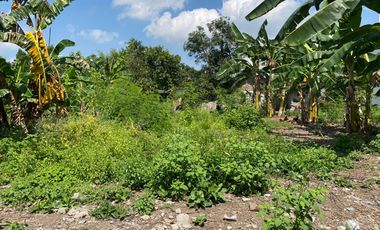 Tanah Dekat Jl Jogja Solo Area Prambanan Siap Bangun Sertifikat Ready