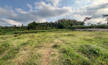 Tanah dijual di Jamuran, Wagir, Kabupaten Malang, Jawa Timur