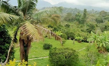 VENTA DE HERMOSA FINCA EN VEREDA PIAMONTE - FUSAGASUGÁ