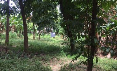 Residential Lot for rent in Market Area, Santa Rosa, Laguna