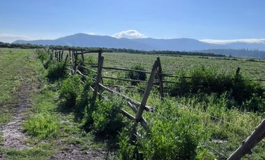 🌾 Campo Agrícola de 25 Hectáreas – Codigua, Melipilla