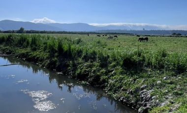 🌾 Campo Agrícola de 25 Hectáreas – Codigua, Melipilla