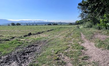 🌾 Campo Agrícola de 25 Hectáreas – Codigua, Melipilla