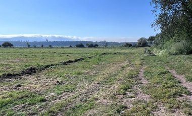 🌾 Campo Agrícola de 25 Hectáreas – Codigua, Melipilla