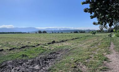 🌾 Campo Agrícola de 25 Hectáreas – Codigua, Melipilla