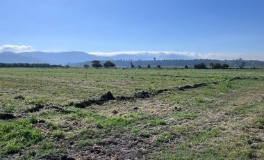 🌾 Campo Agrícola de 25 Hectáreas – Codigua, Melipilla