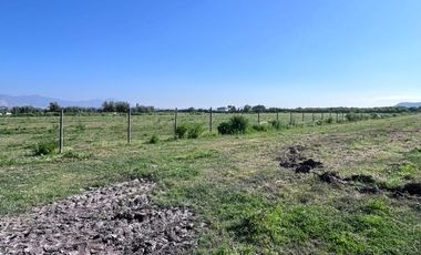 🌾 Campo Agrícola de 25 Hectáreas – Codigua, Melipilla