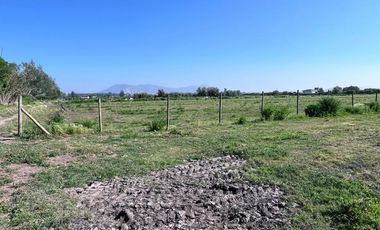 🌾 Campo Agrícola de 25 Hectáreas – Codigua, Melipilla