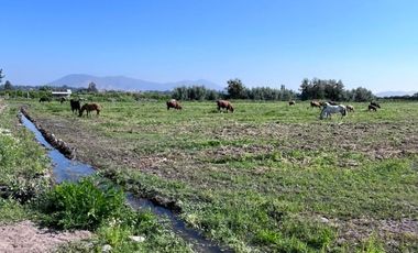 🌾 Campo Agrícola de 25 Hectáreas – Codigua, Melipilla