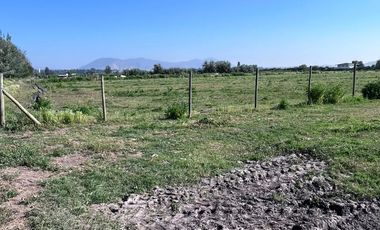 🌾 Campo Agrícola de 25 Hectáreas – Codigua, Melipilla