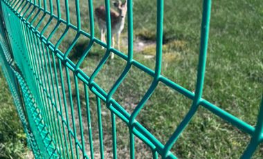 🌾 Campo Agrícola de 25 Hectáreas – Codigua, Melipilla