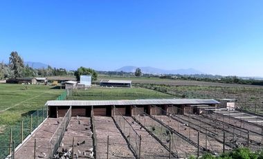 🌾 Campo Agrícola de 25 Hectáreas – Codigua, Melipilla