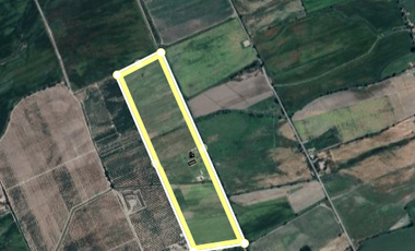 🌾 Campo Agrícola de 25 Hectáreas – Codigua, Melipilla