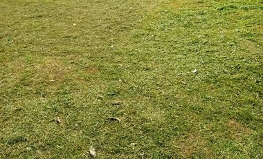 Dijual Tanah Lokasi Strategis di Pasir Gombong, Cikarang Utara