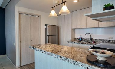 DEPARTAMENTO RENTA EN TORRE ICONOS, ZONA SUR