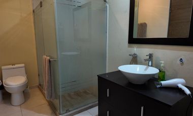 DEPARTAMENTO RENTA EN TORRE ICONOS, ZONA SUR