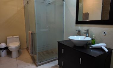 DEPARTAMENTO RENTA EN TORRE ICONOS, ZONA SUR