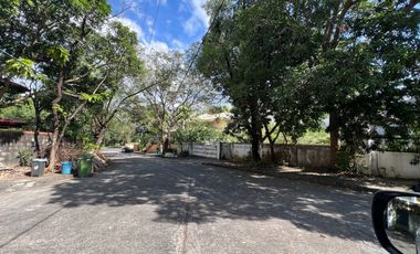 620 sqm Vacant Lot, Ayala Alabang Village