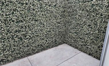 Departamento planta baja en Corregidora.