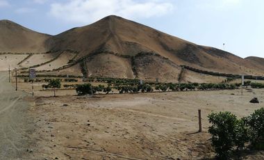 VENTA TERRENO PARA CASA DE CAMPO EN CAÑETE – A 5 MINUTOS DEL BOULEVARD DE ASIA