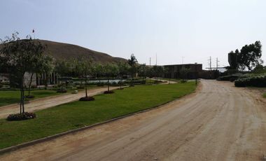 VENTA TERRENO PARA CASA DE CAMPO EN CAÑETE – A 5 MINUTOS DEL BOULEVARD DE ASIA