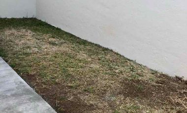 Renta Real Universidad