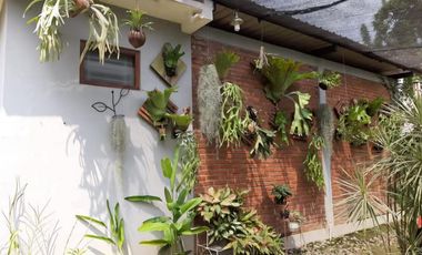 Dijual rumah bonus Aneka anggrek dan tanaman hias, Kelengkeng  dengan luas tanah 684 lokasi Gedongkiwo Kota Yogyakarta