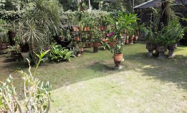 Dijual rumah bonus Aneka anggrek dan tanaman hias, Kelengkeng  dengan luas tanah 684 lokasi Gedongkiwo Kota Yogyakarta