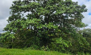 Quinta Vacacional de 811 m² en venta en Norte de Pedro Vicente Maldonado