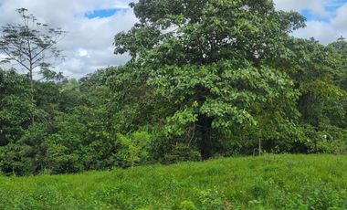 Quinta Vacacional de 811 m² en venta en Norte de Pedro Vicente Maldonado