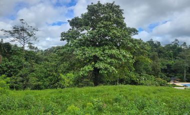 Quinta Vacacional de 811 m² en venta en Norte de Pedro Vicente Maldonado