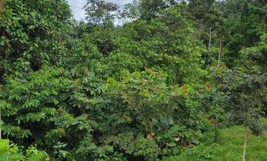 Quinta Vacacional de 811 m² en venta en Norte de Pedro Vicente Maldonado