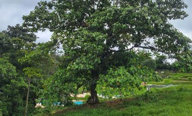 Quinta Vacacional de 811 m² en venta en Norte de Pedro Vicente Maldonado