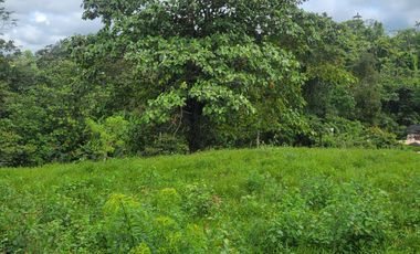 Quinta Vacacional de 811 m² en venta en Norte de Pedro Vicente Maldonado