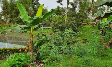 Lindo terreno 1.907 m2 en Pedro Vicente Maldonado, urbanización privada.