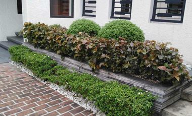 For Lease: Modern 5-Bedroom House with Pool | Ayala Alabang Village