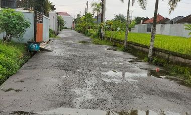 Rumah Full Furnished Siap Huni Complete Kitchen & Laundry Kediri Tabanan - SS