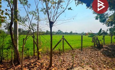 ขายบ้านเดี่ยวพร้อมที่ดิน เนื้อที่ 4 ไร่ 2 งาน 88 ตร.วา หนองฉาง อุทัยธานี