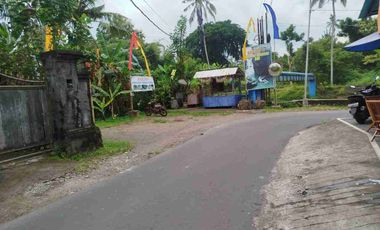 Lahan Langka indah plot kecil siangan gianyar SHM