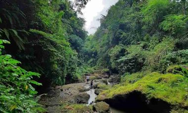 Lahan Langka indah plot kecil siangan gianyar SHM