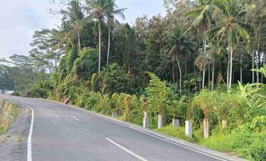 Lahan Langka indah plot kecil siangan gianyar SHM