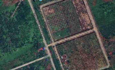 Tanah Tepi Jalan Sungai Raya Dalam 110x170