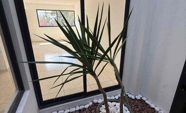 Casa en preventa nuevas Los Pinos Jiutepec