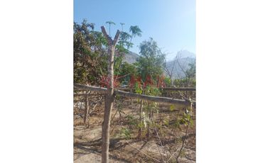 Terreno 866 M2 En Pacaran - Cañete - Sol Todo El Año - Cerca A Lunahuana