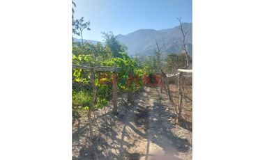 Terreno 866 M2 En Pacaran - Cañete - Sol Todo El Año - Cerca A Lunahuana
