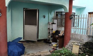 Clean title 14 rooms with 4 Bath room house for sale in Tablot cogon Tagbilaran City