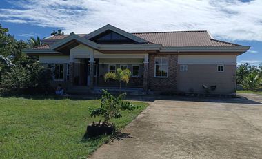 Brand new title 3 bedrooms 2 toilet and bath house in Lourdes Panglao Bohol
